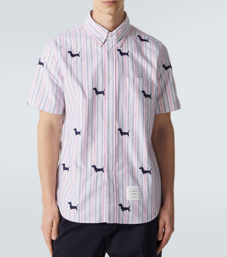 STRAIGHT FIT BD S/S SHIRT W/ SATIN STITCH HALF DROP HECTOR IN 4 BAR REPP STRIPE OXFORD