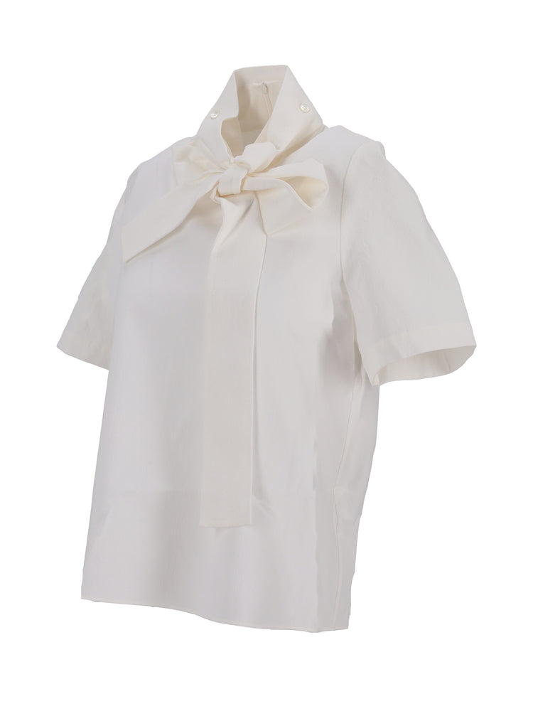 Ribboned Pullover Blouse