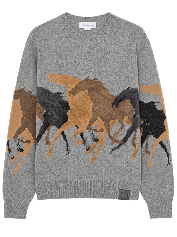 RACING HORSES JUMPER