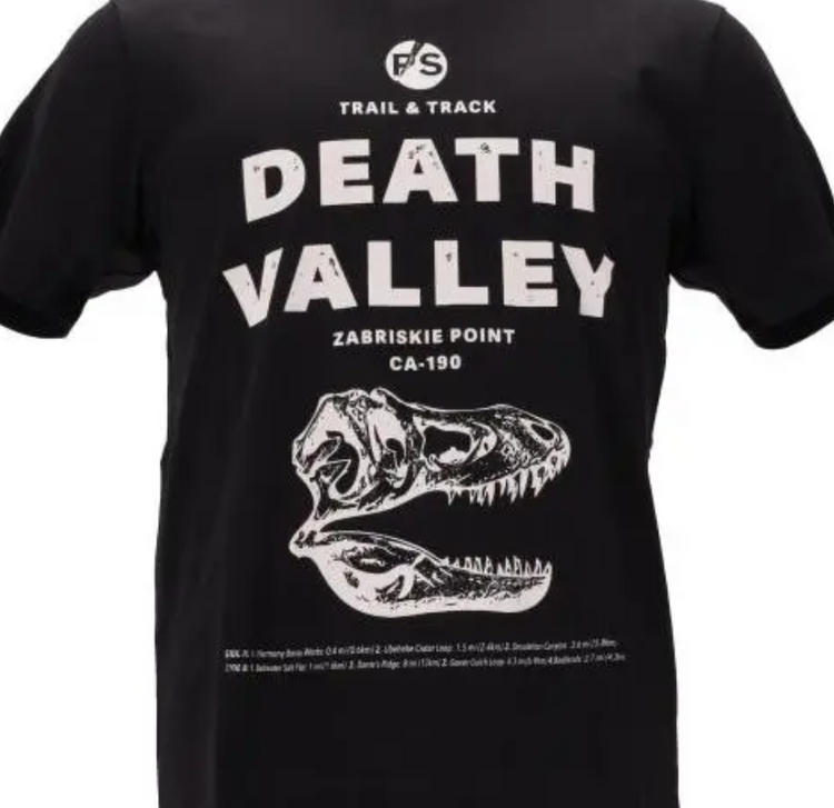 MENS SLIM FIT SS T SHIRT DEATH VALLEY