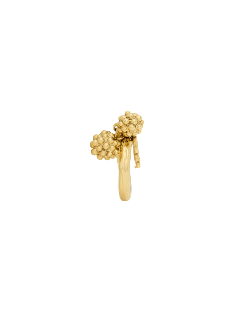 BAGUE BAIE ET CASSAN