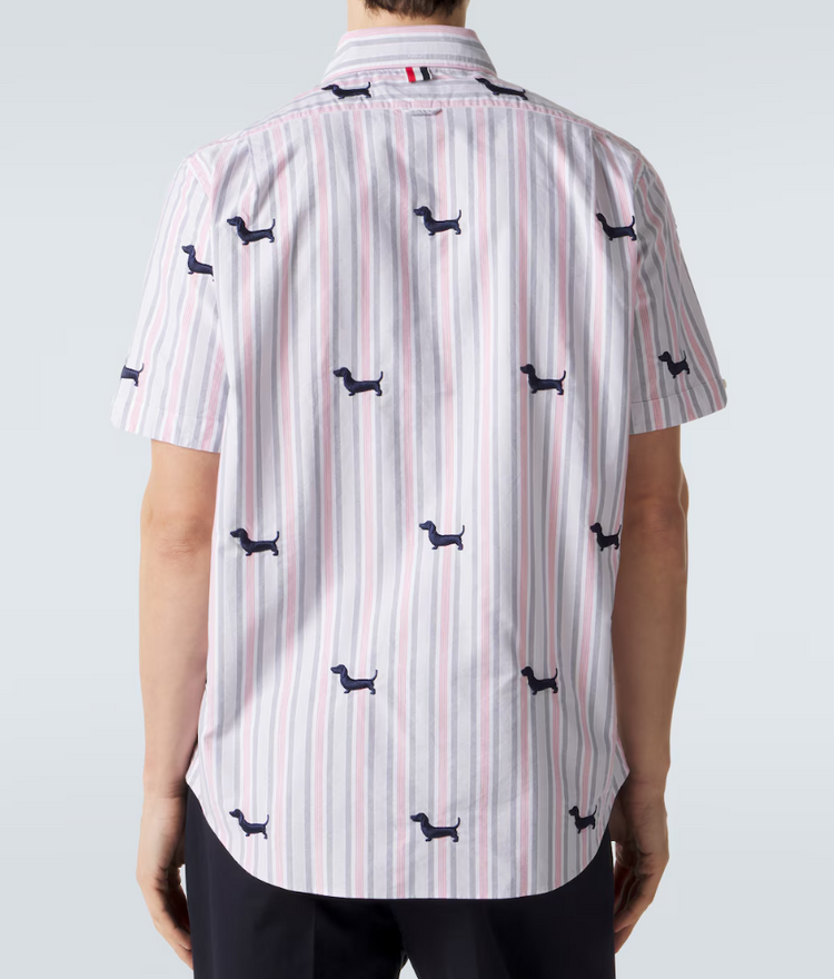 STRAIGHT FIT BD S/S SHIRT W/ SATIN STITCH HALF DROP HECTOR IN 4 BAR REPP STRIPE OXFORD