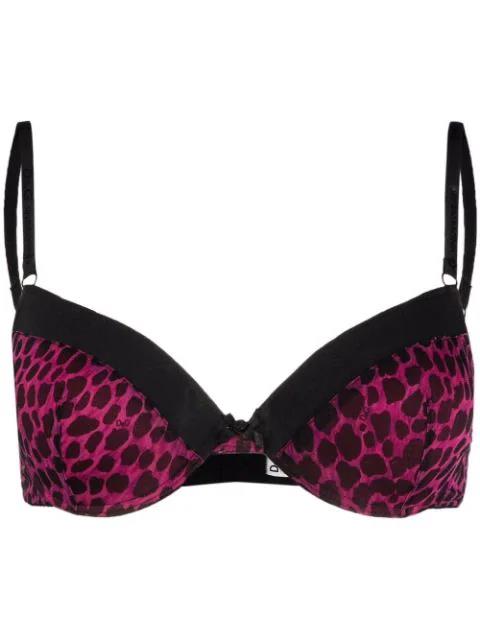 DOLCE&GABBANA leopard-print padded bra