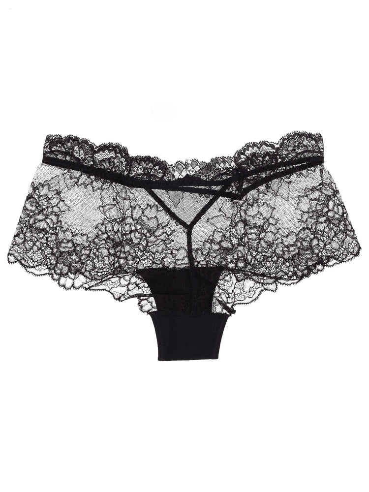 Sublime lace briefs