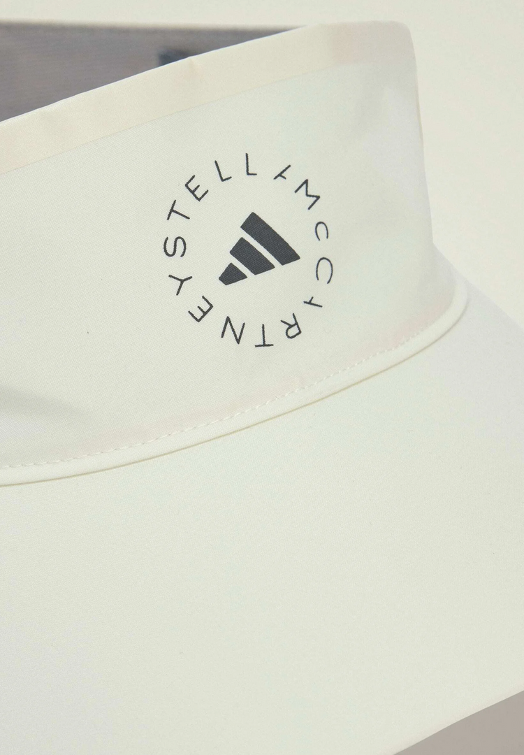 aSMC VISOR