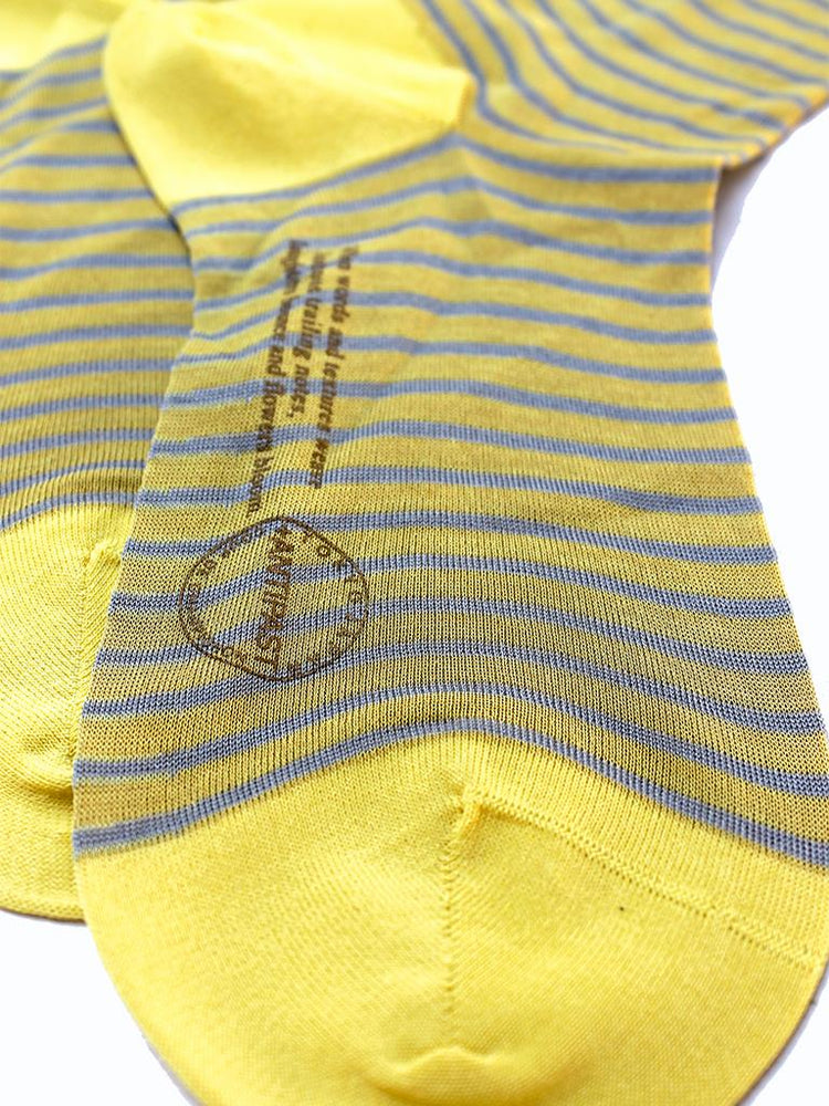 ANTIPAST striped socks