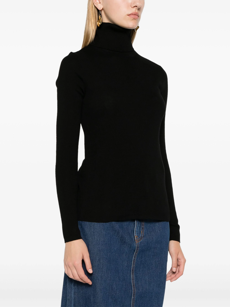 Leila turtle-neck ribbed-knit jumper